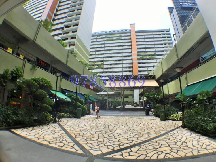 Blk 2 Tanjong Pagar Plaza (Central Area), HDB 3 Rooms #173680142